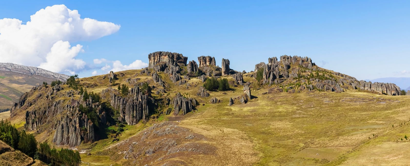 Cajamarca